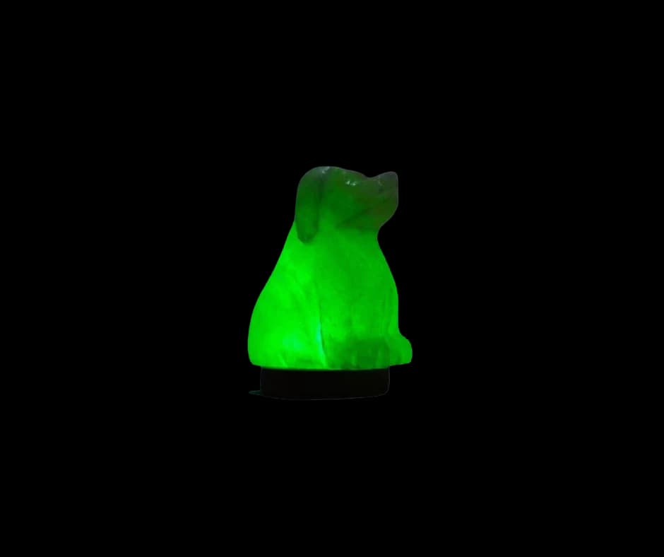Dog Usb Salt Lamp by SM Salt