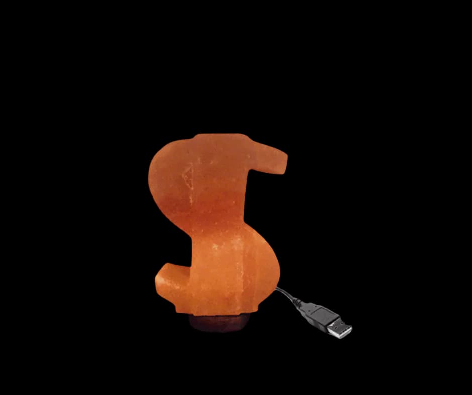Dollar USB Lamp by SM Salt