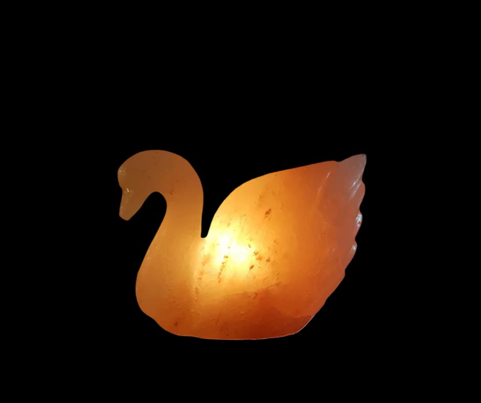Duck Salt Lamp by SM Salt