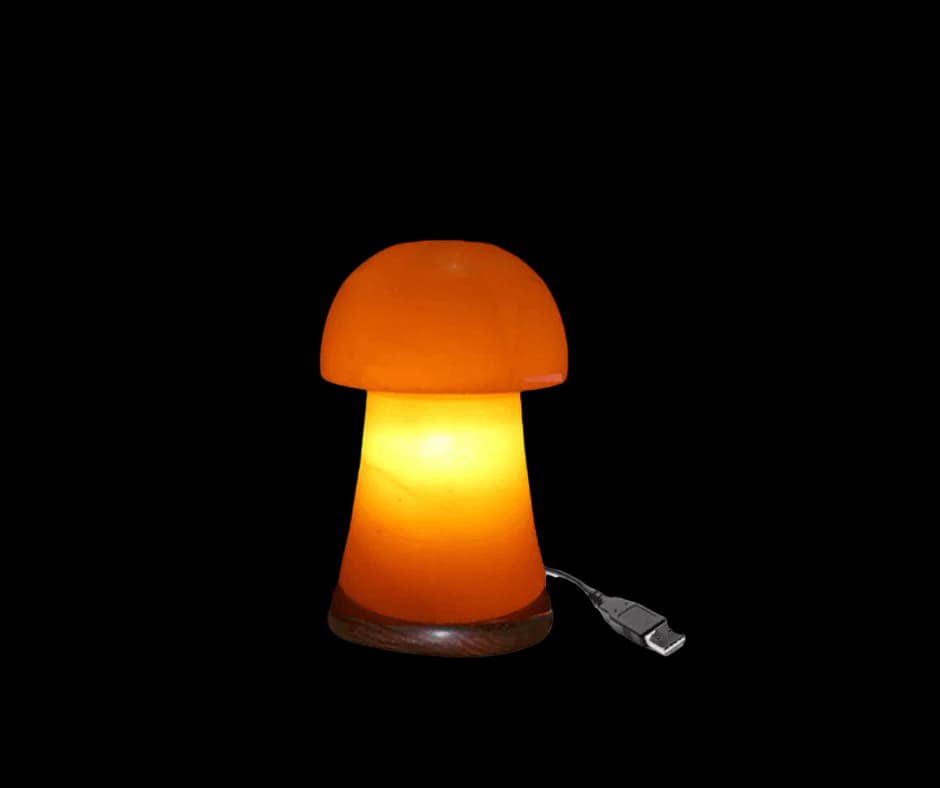 Mushroom USB Lamp by SM Salt
