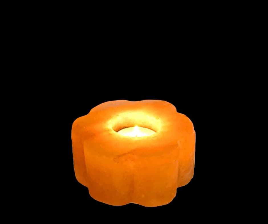 Sun Flower Candle Holder by SM Salt