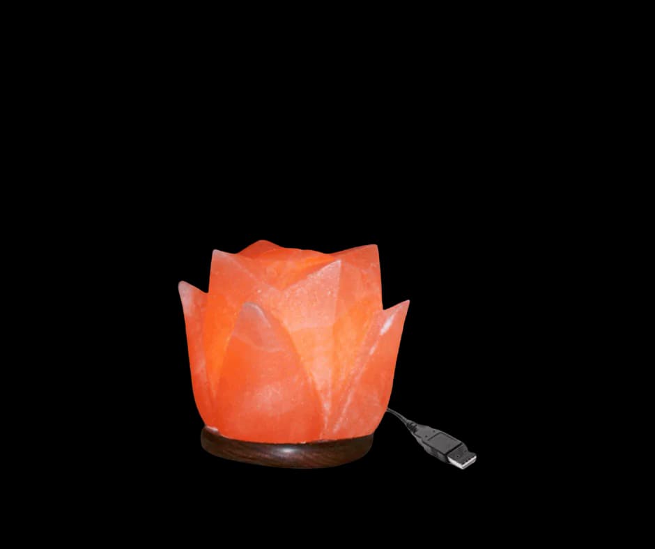 Tulip USB Lamp by SM Salt