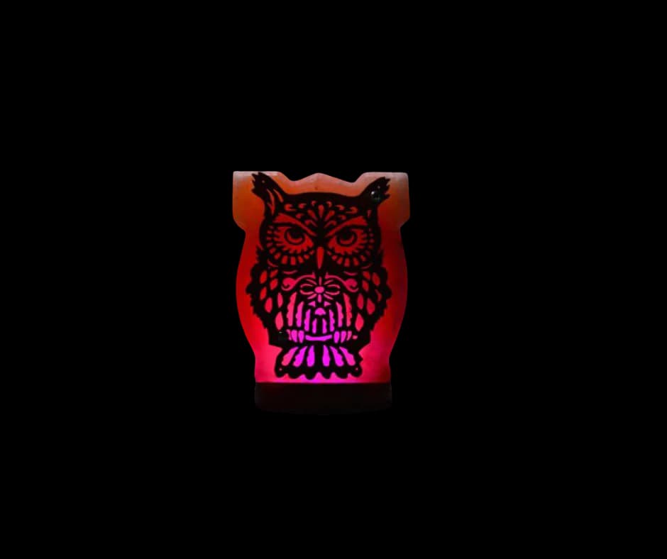 3D Owl Wooden Usb salt lamp by SM Salt