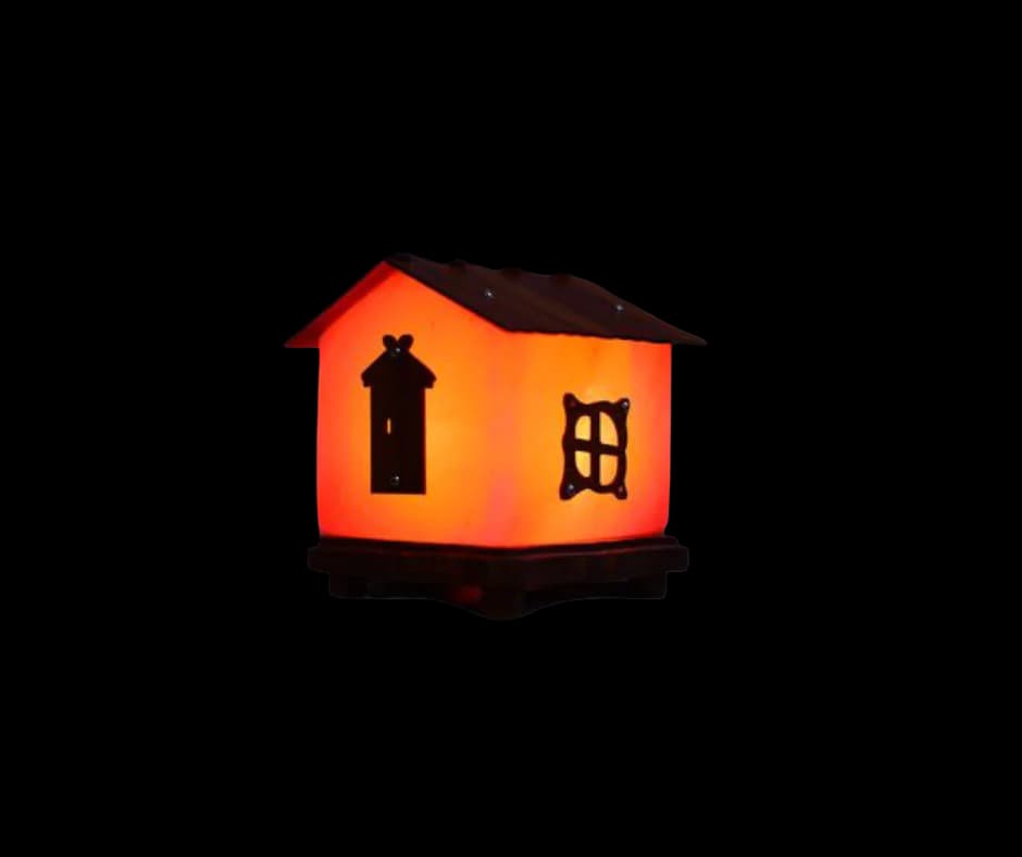 3d House Wooden Salt Lamp by SM Salt