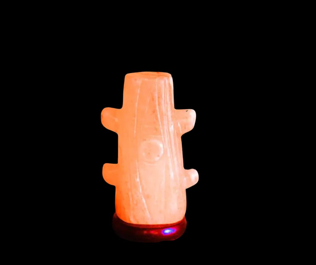 Cactus Salt Lamp by SM Salt
