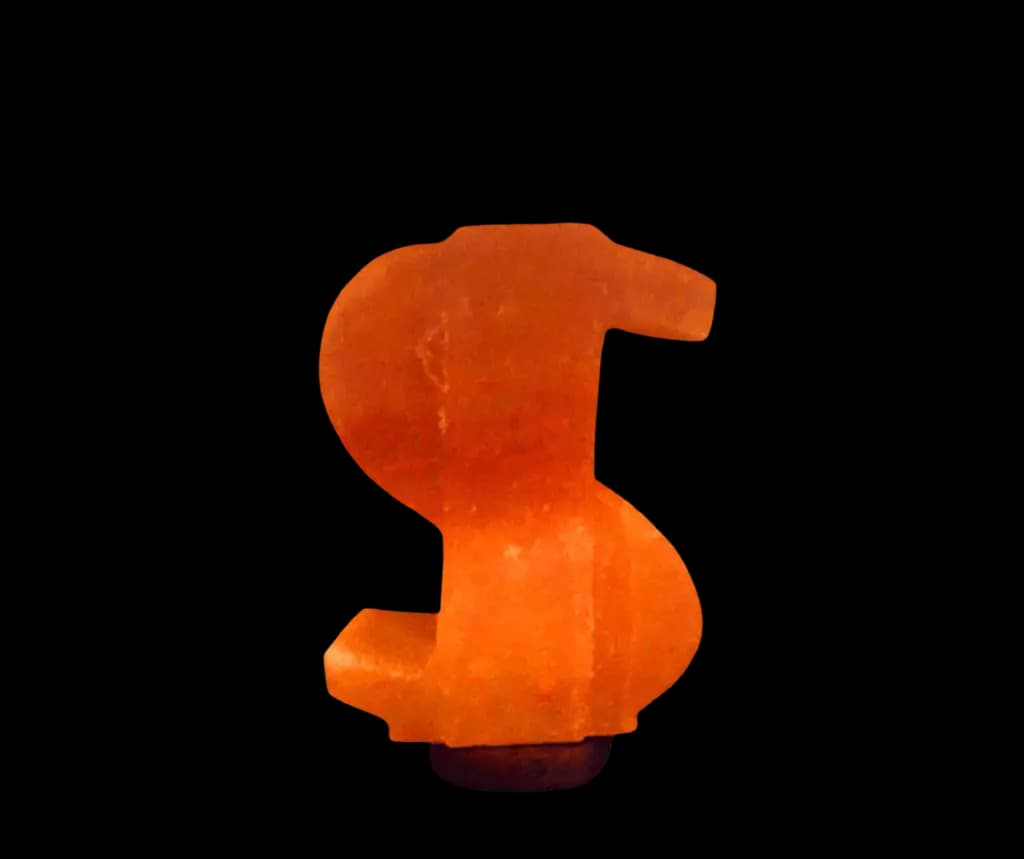 Dollar Salt Lamp by SM Salt