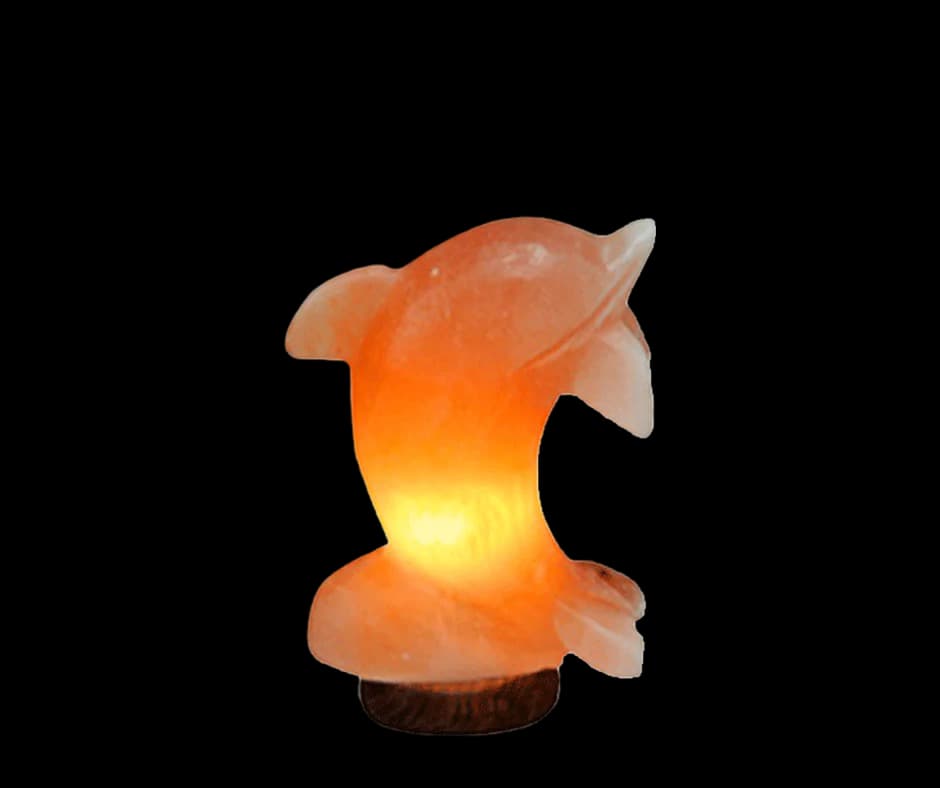 Dolphin Salt Lamp by SM Salt