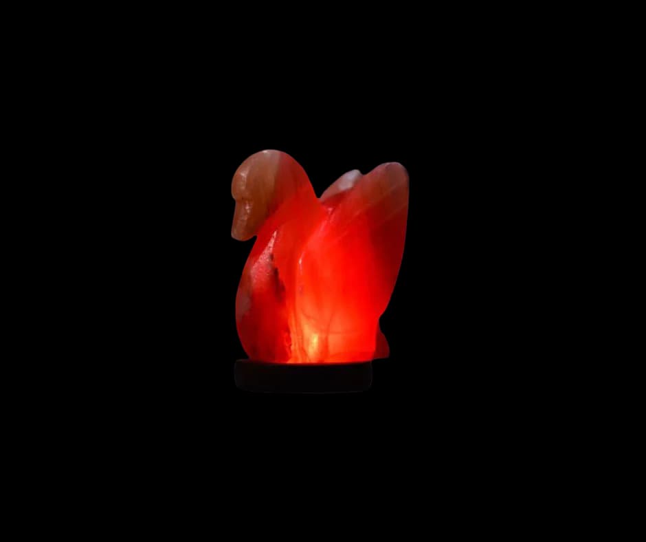 Duck Usb Salt Lamp by SM Salt