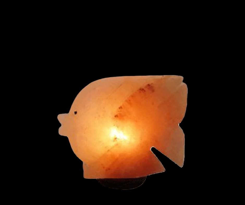 Fish Salt Lamp by SM Salt