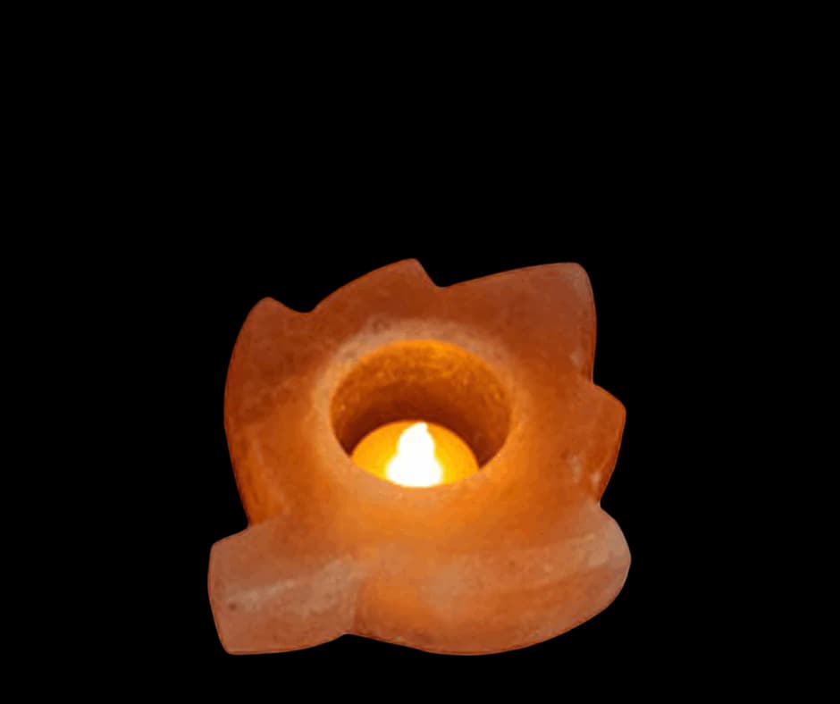 Leaf Candle Holder by SM Salt