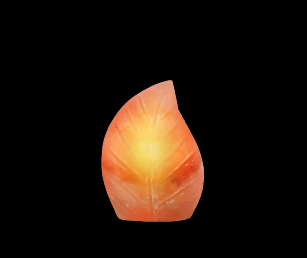 Leaf Salt Lamp by SM Salt