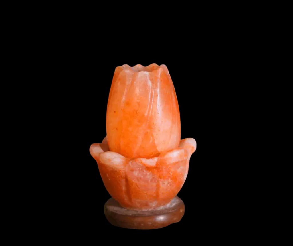 Lotus Salt Lamp by SM Salt