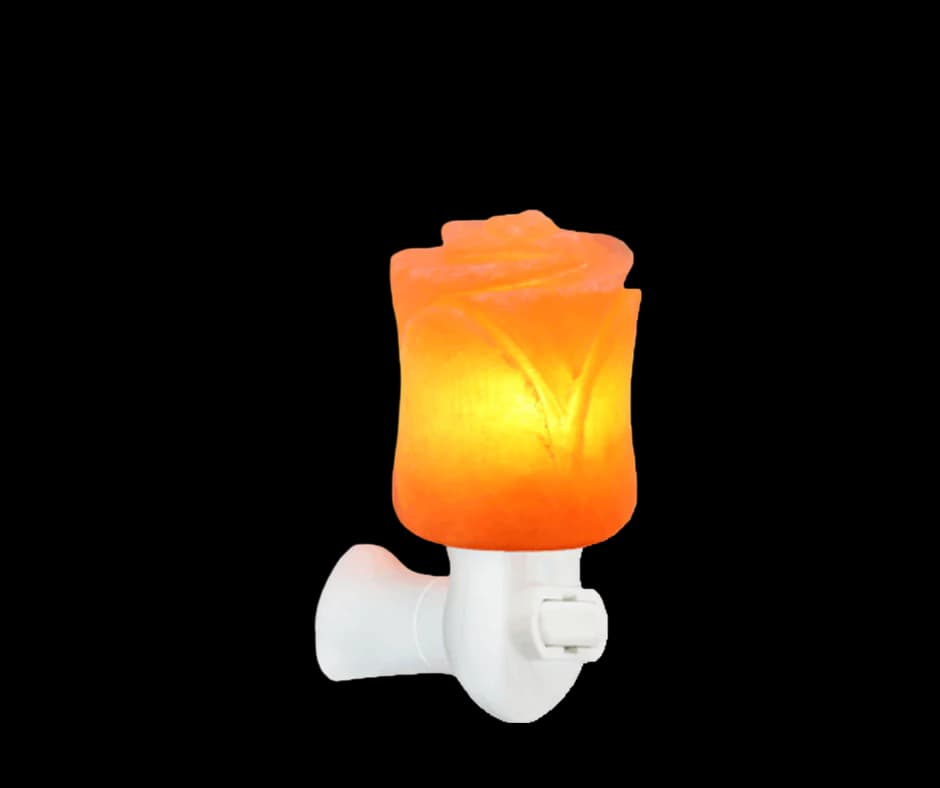 Rose Night Lamp by SM Salt