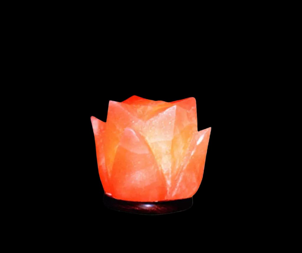 Tulip Salt Lamp by SM Salt