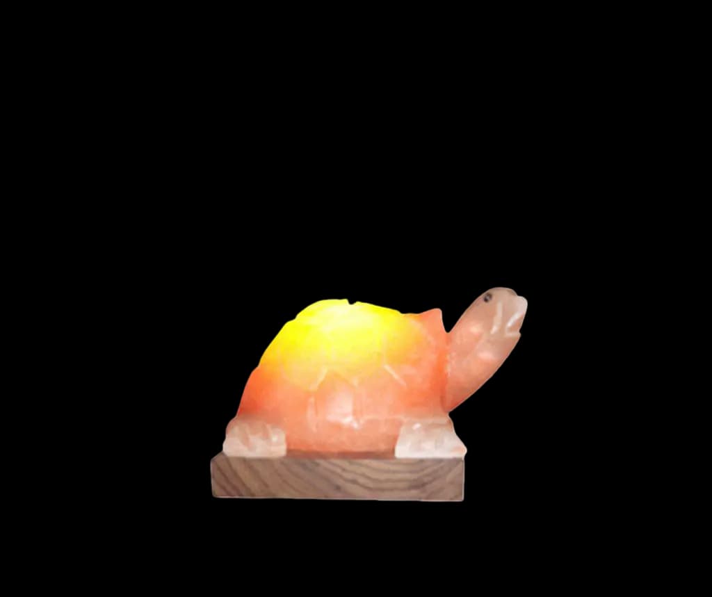 Turtle Salt Lamp by SM Salt