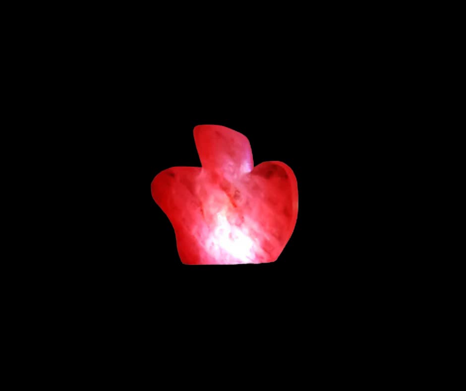 apple Usb Salt Lamp by SM Salt
