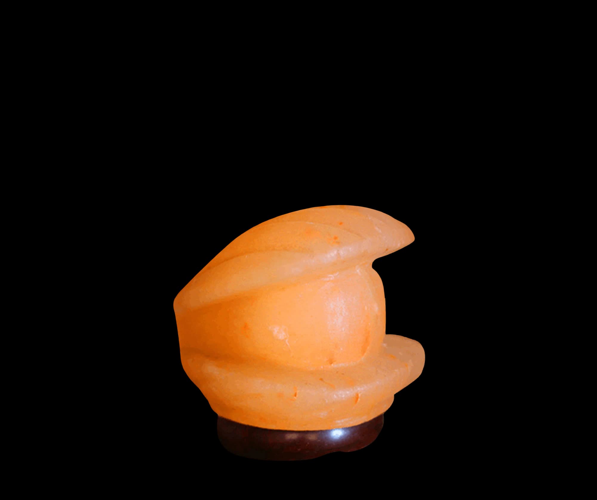 shell salt lamp by SM Salt