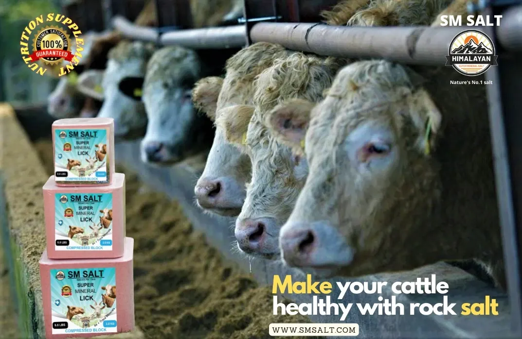 Salt Block for Cows